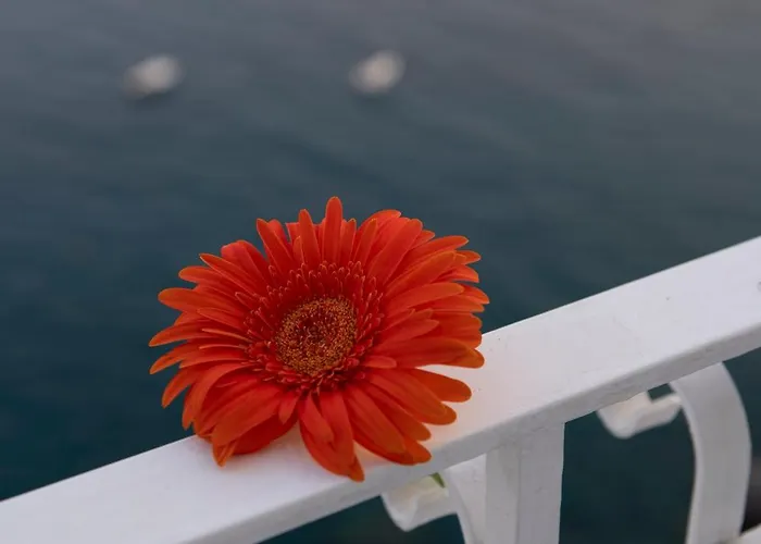 La Ninfa فندق أمالفي